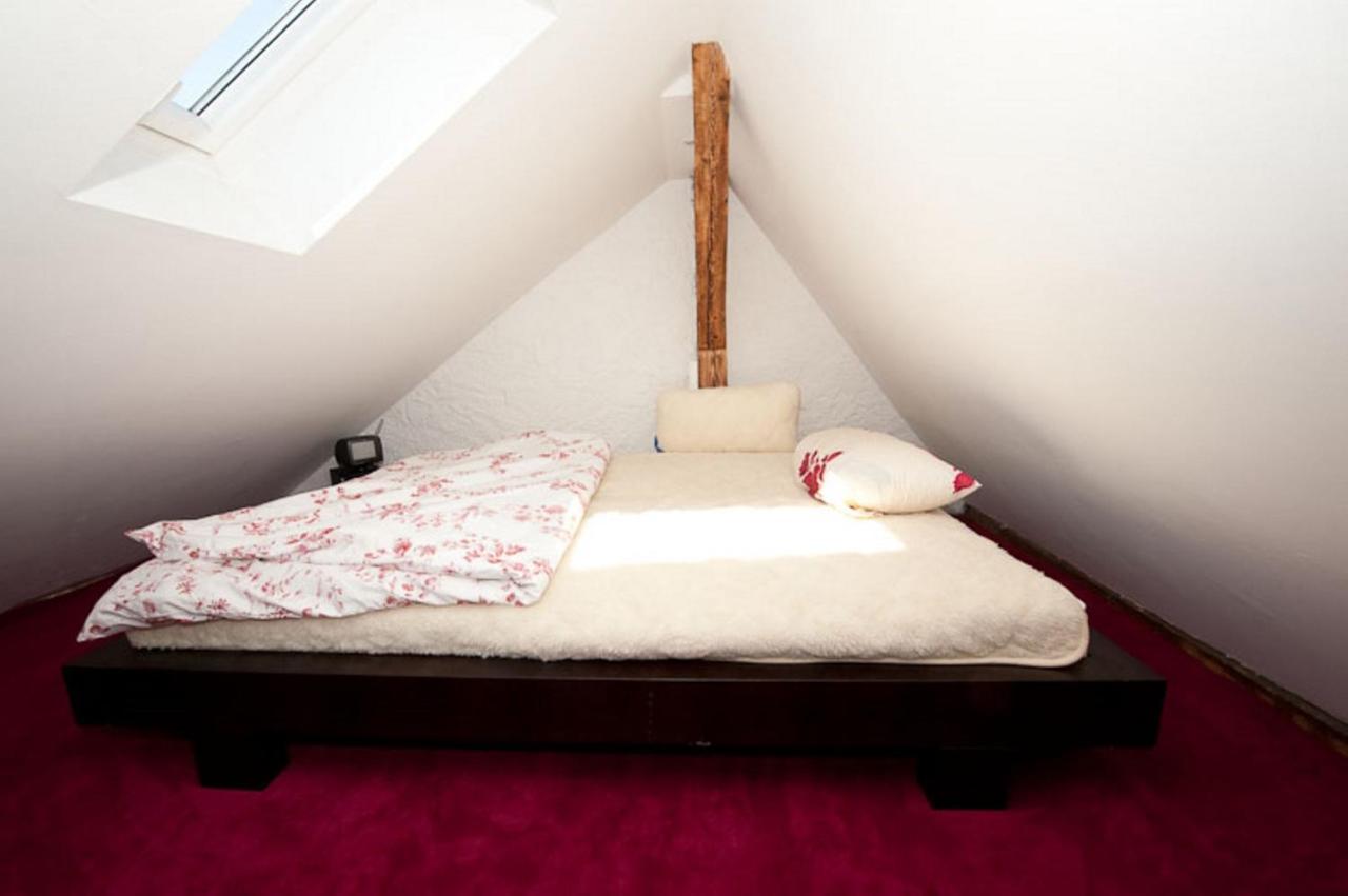 City Lux Apartment In Der Stadt 프라이부르크 임 브리스가우 외부 사진